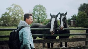 19810456-uhd_3840_2160_24fps