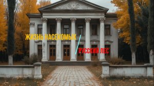 Аудиокнига - Виктор Пелевин