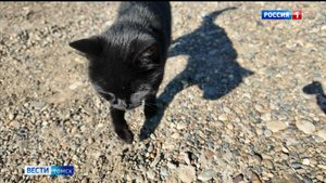 Вести-Томск, выпуск от 26.08.2025 21:10