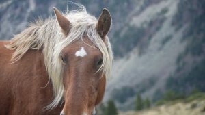 6876680-uhd_3840_2160_30fps