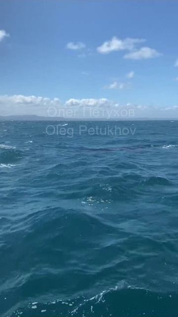 Мальдивы. Maldives. 马尔代夫。 смотреть онлайн