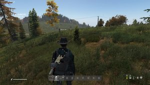 Какой то сервер с ботами DayZ PVE