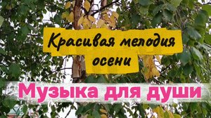 Красивая мелодия осени. МУЗЫКА ДЛЯ ДУШИ.