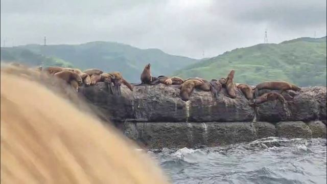 На Сахалине — сделано в Clipchamp