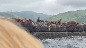 На Сахалине — сделано в Clipchamp