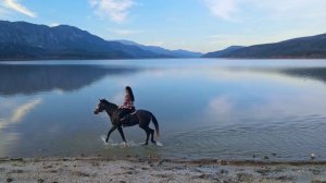 13351896_1920_1080_30fps