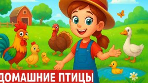 ДЕТСКИЙ ФЕРМЕРСКИЙ УРОК: ДОМАШНИЕ ПТИЦЫ