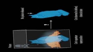 Физики резко расходятся во мнениях относительно того, что квантовая механика говорит о реальности