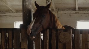 5087762-uhd_3840_2160_25fps