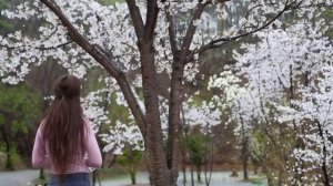 Роскошный бункер для кемпинга! В одиночестве под брезентом подключенная машина под проливным дождём.