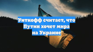 Уиткофф считает, что Путин хочет мира на Украине