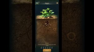 27.08.25 Ant Legion. Опросник муравья