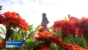 208-ая годовщина со дня рождения создателя Русской Палестины архимандрита Антонина