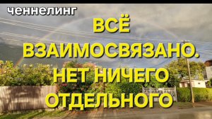 Всё взаимосвязано. Ченнелинг Наили Богдановой