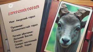 Агент биосферы / Амурский горал / 27.08.25