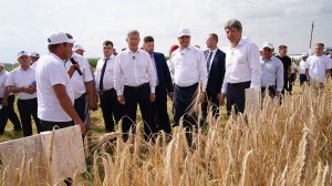 Уфимский район. День поля. Часть 1. Июль 2025 г.