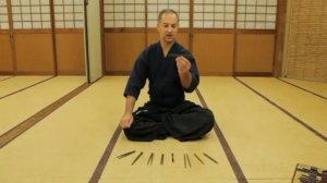 ИСКУССТВО БО-СЮРИКЭНДЗЮЦУ.