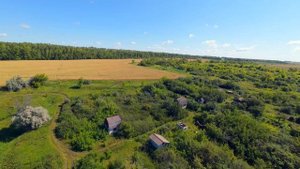 речка поле это все мое родное