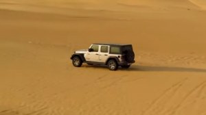 Sting-Desert Rose(Ersin AVCI Remix)