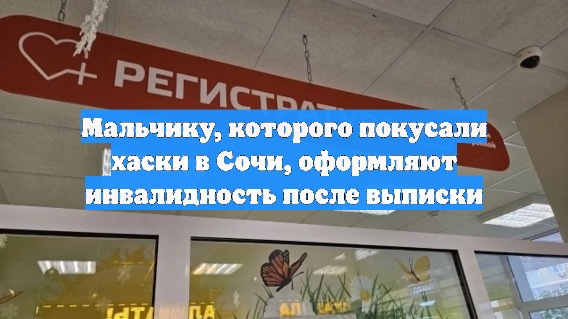Мальчику, которого покусали хаски в Сочи, оформляют инвалидность после выписки