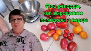 Мои великаны. Как выращиваю помидоры и перцы. Лайфхаки мои.