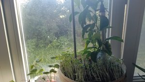 Ванна  Косметический ремонт Спустя 7 месяцев  Танкист555