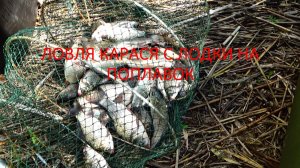 Один на озере. Прикормил и попёрло)