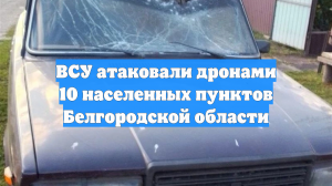 ВСУ атаковали дронами 10 населенных пунктов Белгородской области