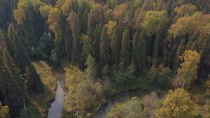Национальный парк "Койгородский", Республика Коми