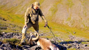 Путь к трофею. Охота на Хараулахском и Становом хребтах
