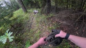 Хаски Дик в лесу) 23.08.25