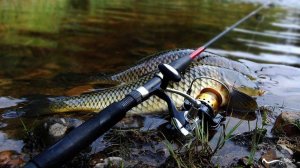 размот сломали механизм в рр4