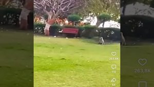 VID_20250827_133438_723.mp4.mov