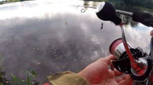 С РЫБАЛКОЙ ПО ЖИЗНИ (ловля щуки в лесном водоеме на воблеры)