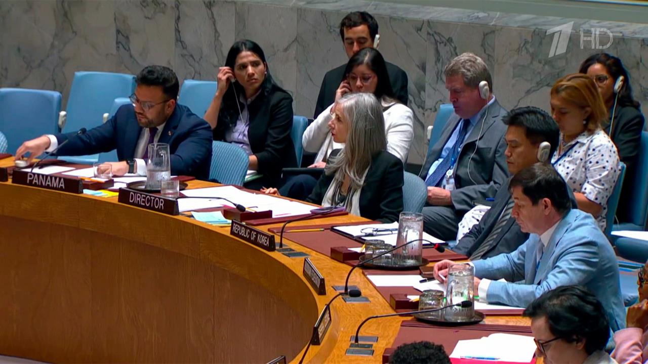 В ООН обсудили арест украинца, который якобы организовал подрыв "Северных потоков"