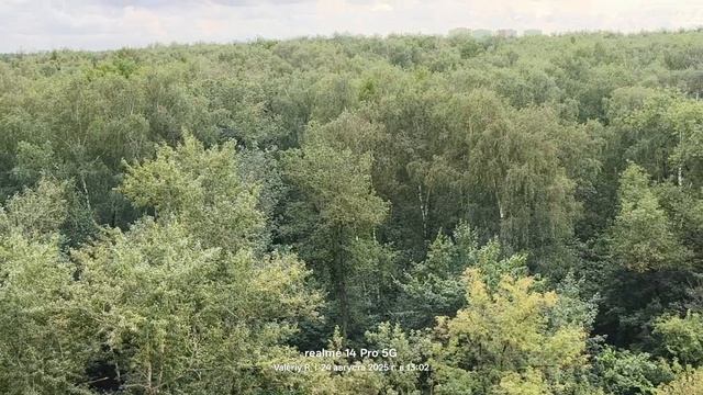Москва, лесопарк Лосиный остров 🌳🌳 24.08.2025 смотреть онлайн