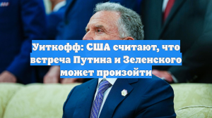Уиткофф: США считают, что встреча Путина и Зеленского может произойти