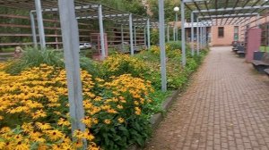 Прогулка у метро Коломенское
