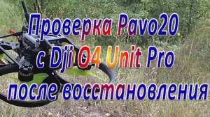 Воздушный модуль Dji O4 Unit Lite в воздухе на Pavo20