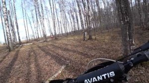 Испытание ИНЖЕКТОРА Avantis PR250 EFI Enduro Exclusive ИНЖЕКТОР или КАРБЮРАТОР