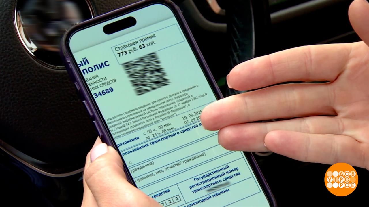 "Короткий" страховой полис: как это работает. Доброе утро. Фрагмент выпуска от 27.08.2025