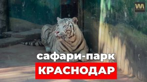 Обзор сафари-парка Краснодар объективно, без лишних комментариев