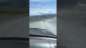 Едем едем по Алтаю