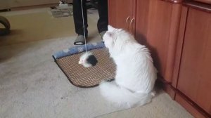 Леся и Сёма - Разыгрался сегодня