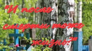 "И после смерти тоже жизнь ?" Каждую пятницу, в 18-00, новая история! Подпишись и не пропустишь!