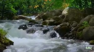 Рассказы жизненные интересные истории из жизни. Час, прописанный свыше...