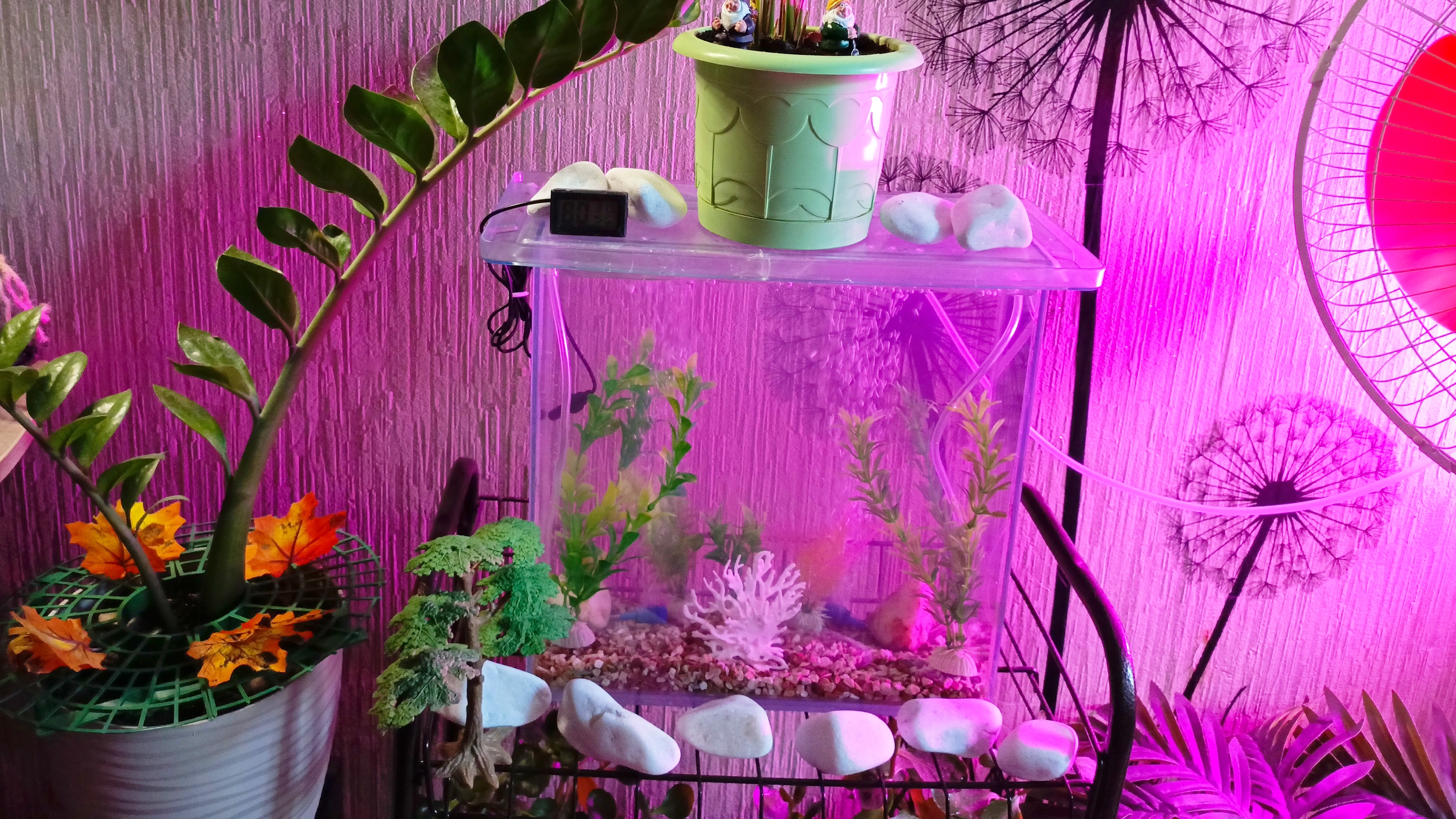 Чистим АКВАРИУМ легко и просто