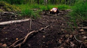 Сложное лесное бездорожье по доставке груза Crossrc EMO XL Bison 6x6