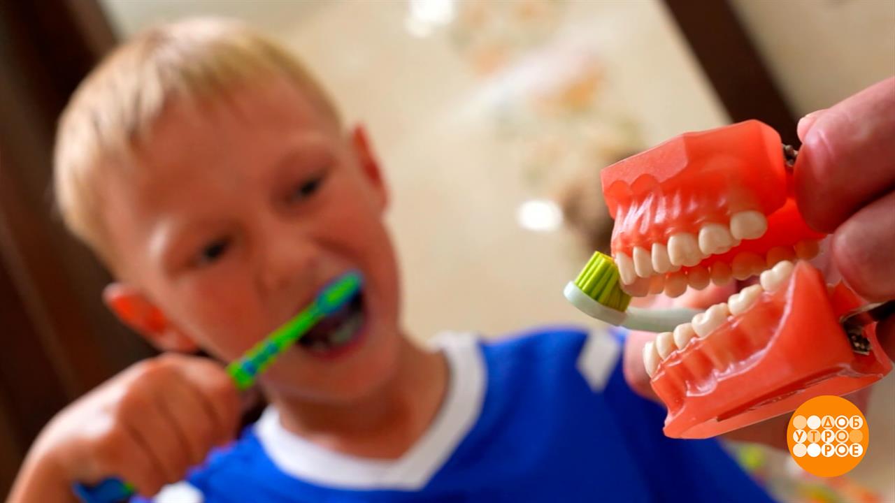 Чистим зубы, работаем над ошибками. Доброе утро. Фрагмент выпуска от 27.08.2025