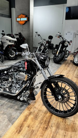 2015 CVO Breakout 110